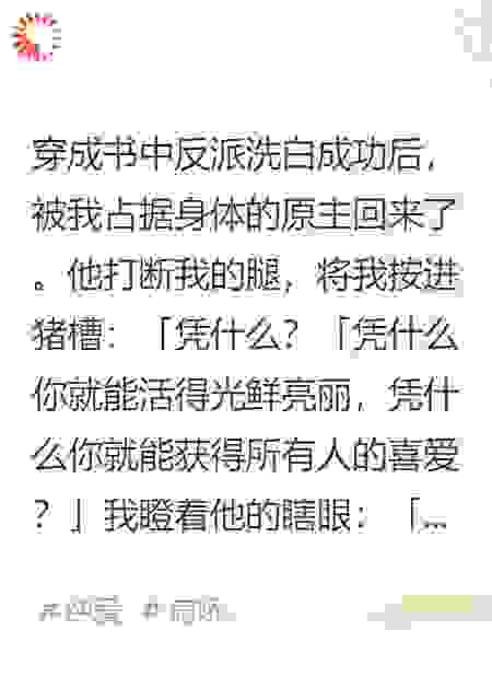穿书洗白后反派原主回来了